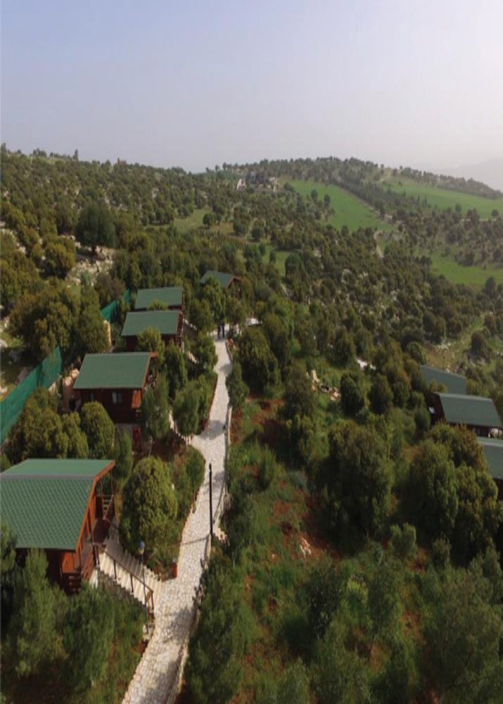 Agri-tourism Village - Sakhra (Ajloun)