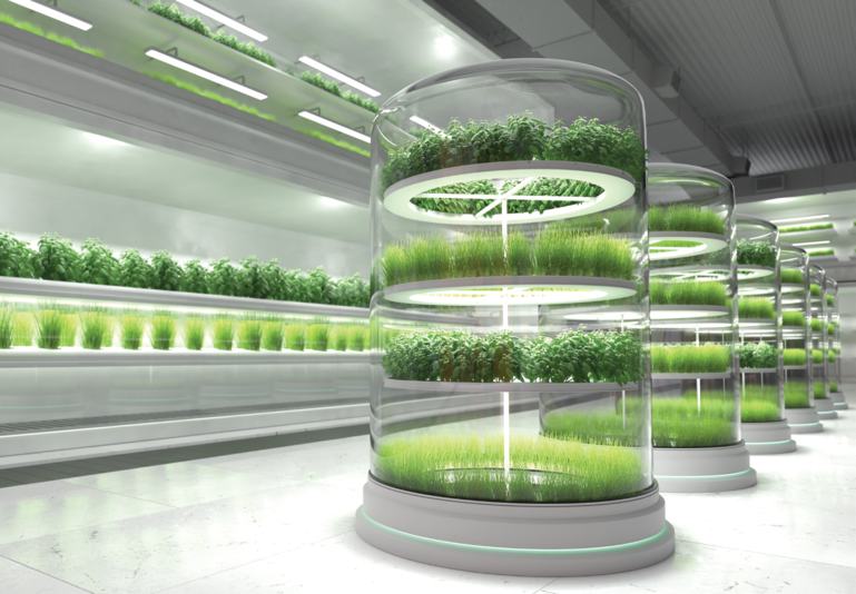 Aqaba Agri-Tech Corridor