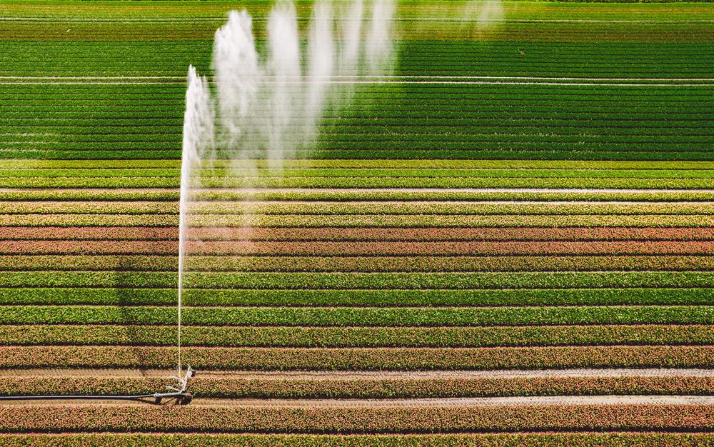 North Rahma Irrigation Project (Operation & Management)