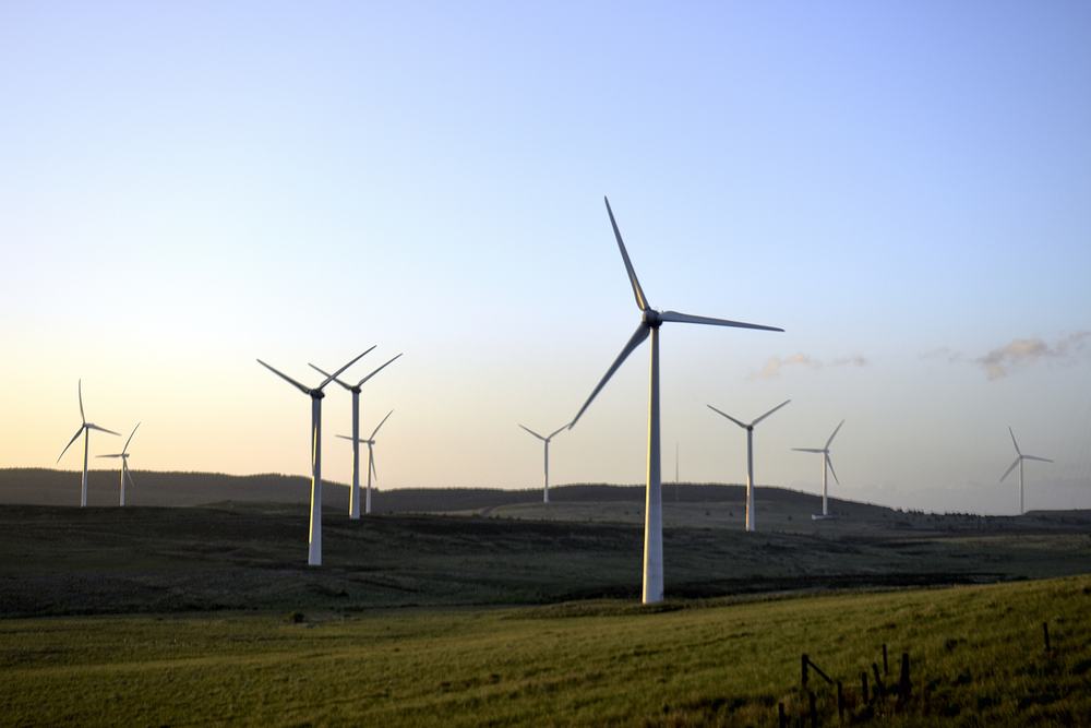 Wind Power Generation Project (100 MW)